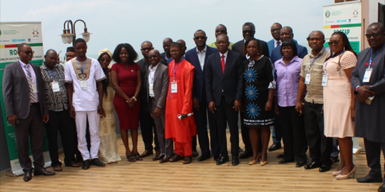 ROGEAP : Rapport de l’atelier régional de sensibilisation et de renforcement des capacités des journalistes membres