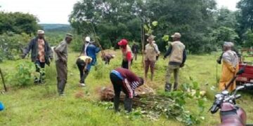Guinée : Campagne de reboisement 2022 dans la sous préfecture de Maci