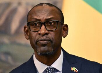 Afrique : Le Mali saisit l’ONU et accuse la France de fournir renseignements et armes aux terroristes