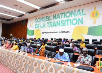 Loi sur d&rsquo;autorisation de ratification de l&rsquo;accord : la Guinée et la BADEA signe un accord prêt de 55 millions de dollars