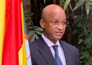 Guinée : Qui aide Cellou Dalein Diallo à assurer sa survie politique ?