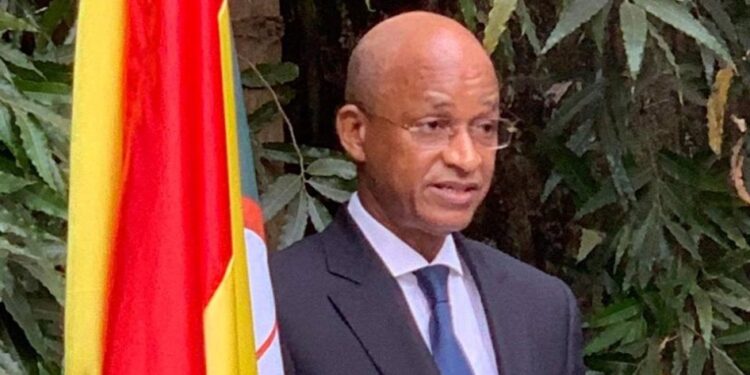 Guinée : Qui aide Cellou Dalein Diallo à assurer sa survie politique ?