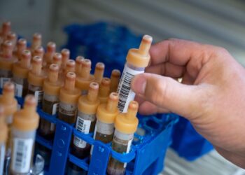 Épidémie Ebola : Neuf pays africains mutualisent les efforts de la riposte