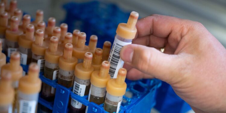 Épidémie Ebola : Neuf pays africains mutualisent les efforts de la riposte