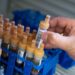 Épidémie Ebola : Neuf pays africains mutualisent les efforts de la riposte
