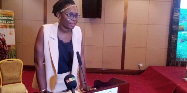 Salon de l&rsquo;agriculture et des mines : ONG Expo Agrimines Guinée 2022 fait la restitution du rapport d&rsquo;activité de la première édition à Boké