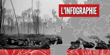 La lutte contre la déforestation va-t-elle pénaliser l’Afrique ?