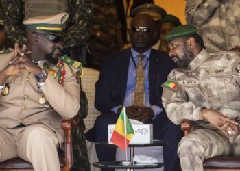 Afrique : Entre le Mali et la Guinée, une « solidarité » qui coûte cher