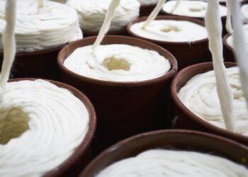 Côte d’Ivoire, Burkina, Mali… Sombre année pour le coton ouest-africain