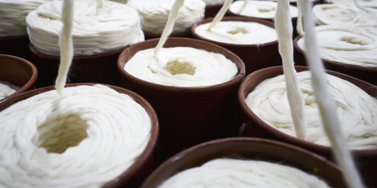 Côte d’Ivoire, Burkina, Mali… Sombre année pour le coton ouest-africain