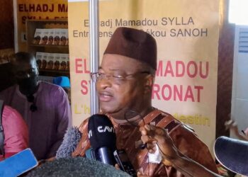 Littérature : « L&rsquo;homme et son destin », c&rsquo;est le nouveau roman de l&rsquo;homme politique El hadj Mamadou Sylla