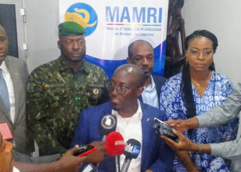 Tenue à Conakry la réunion du Comité de Pilotage de la Mission d&rsquo;Appui à la Mobilisation des Ressources Internes