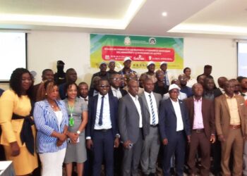 Lutte contre la piraterie des oeuvres littéraires et artistiques : Des magistrats en formation