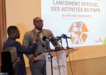 Ministère du Commerce de l&rsquo;Industrie et des PME : le Fonds de Garantie des Prêts aux Entreprises de Guinée lance ses activités