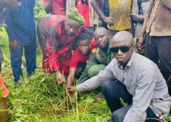 Boké : Des plantes misent à terre à Samaniya par la Fondation Hadja Kadiatou N’DIAYE…