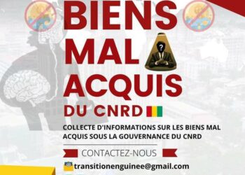 Guinée : Le FNDC sur les biens mal acquis sous la gouvernance du CNRD.
