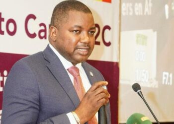 Webinaire du Rémapsen sur la fistule obstétricale : ‘’90% des femmes souffrent de la fistule obstétricale en Afrique… »