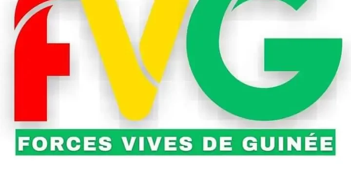 Société : Les Forces Vives de Guinée appellent à soutenir la grève du Mouvement Syndical Guinéen