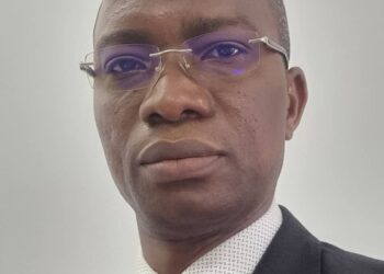 ‘’L’Approche holistique est mieux indiquée pour l’Afrique dans le domaine de la santé et de l’environnement’’