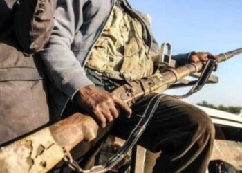 Attaque de Boko Haram dans l’État du Niger au Nigeria : 10 morts et 160 personnes enlevées