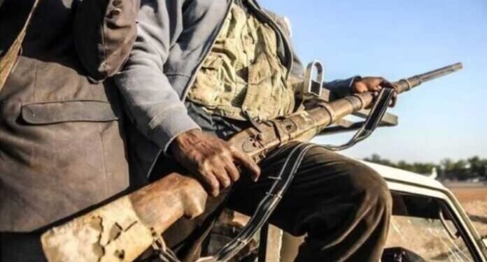 Attaque de Boko Haram dans l’État du Niger au Nigeria : 10 morts et 160 personnes enlevées