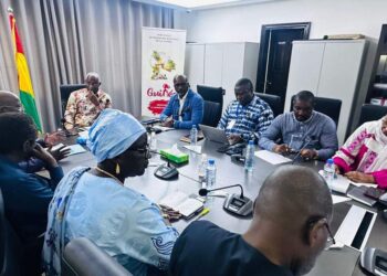 Préservation du massif du Fouta-Djallon : Le Premier ministre a reçu une mission conjointe de la FAO, de la CEDEAO et du PAM