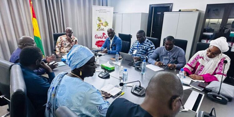 Préservation du massif du Fouta-Djallon : Le Premier ministre a reçu une mission conjointe de la FAO, de la CEDEAO et du PAM