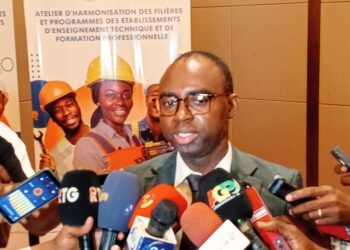 METFPE : Vers l’harmonisation des filières et programmes….