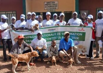 Dinguiraye/Santé : 24 cas de rage notifiés en 2024 dont 4 confirmés au Laboratoire