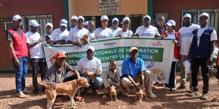 Dinguiraye/Santé : 24 cas de rage notifiés en 2024 dont 4 confirmés au Laboratoire