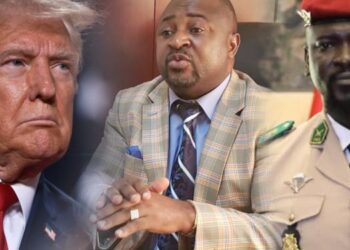 Affaire Dr. David Makongo et Ashapura : Une bataille judiciaire aux multiples rebondissements