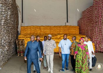 Guinée : Des responsables du MCIPME précédent à une évaluation des stocks de denrées alimentaires…