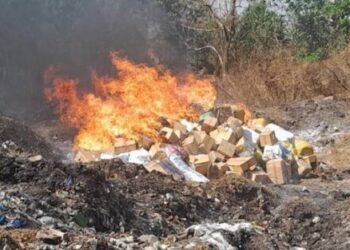 Guinée : Des tonnes de produits pharmaceutiques prohibés et 1800 Kg de cannabis incinérés