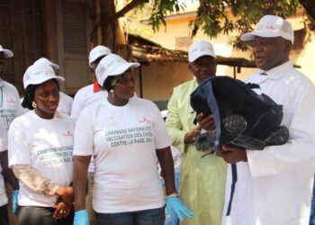 Guinée : Lancement de la campagne nationale de vaccination des chiens contre la rage à Kindia