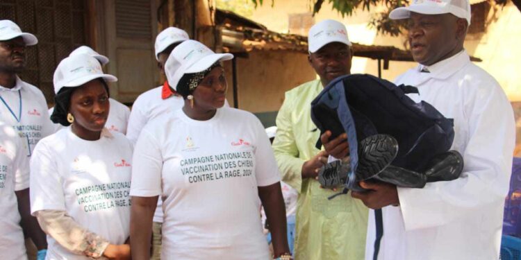 Guinée : Lancement de la campagne nationale de vaccination des chiens contre la rage à Kindia
