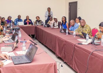 Guinée/Santé : Clôture des travaux de l’atelier de validation des engagements en faveur de la Nutrition pour la Croissance