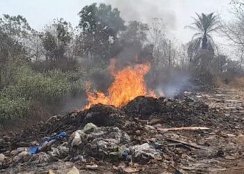 Guinée : Incinération de 3,5 tonnes de produits impropres à la consommation