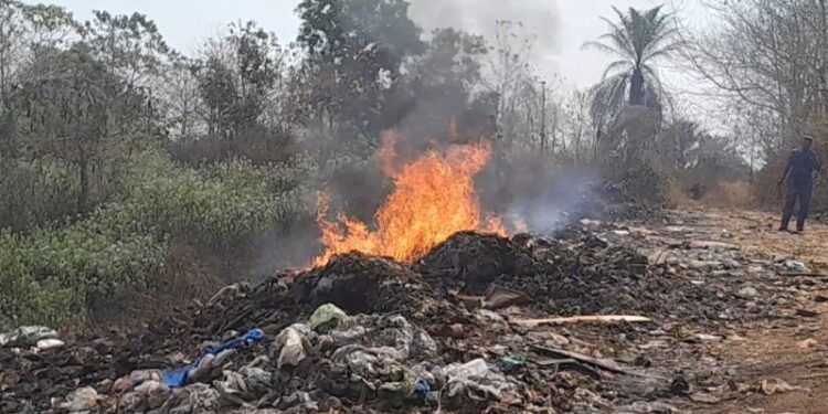 Guinée : Incinération de 3,5 tonnes de produits impropres à la consommation