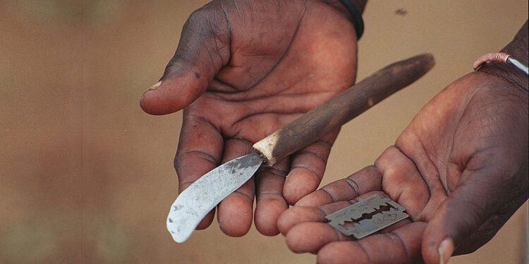 Mutilations génitales féminines en Guinée : Des acteurs renforcent leurs capacités pour la promotion de l’abandon..