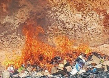 Guinée : Plus de 16 tonnes de produits impropres à la consommation incinérées