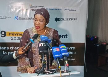 Plan d&rsquo;action pour la mise en œuvre de la politique industrielle de Guinée: Madame la ministre  Dre. Diaka Sidibé préside le lancement officiel 