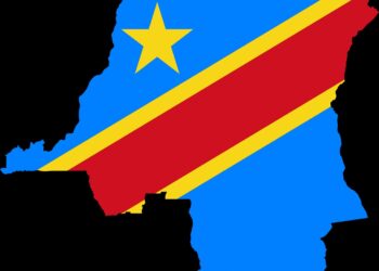 Soutien du REMAPSEN à la RDC (Déclaration)