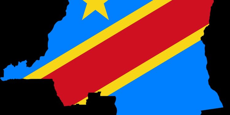 Soutien du REMAPSEN à la RDC (Déclaration)
