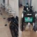 Guinée : Don de matériels au service de diabétologie de l’hôpital régional de Conakry