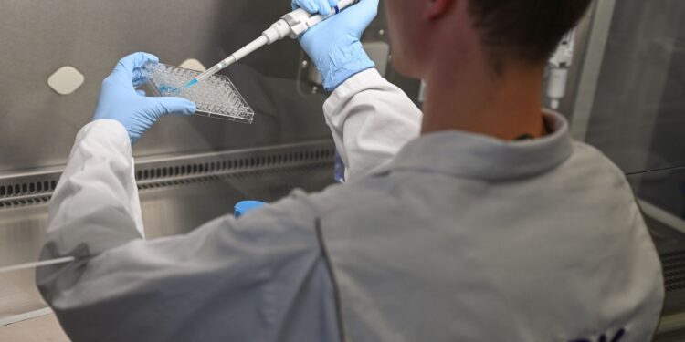 Santé : La fondation Merck appuie la formation de médecins africains