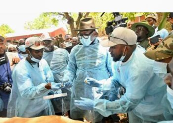 Guinée : C&rsquo;est parti pour la Campagne agricole couplée à la vaccination du bétail