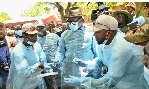 Guinée : C&rsquo;est parti pour la Campagne agricole couplée à la vaccination du bétail