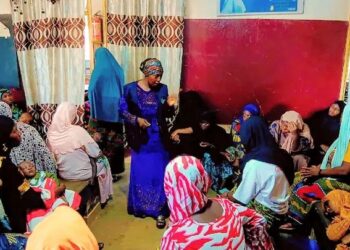 Vaccination contre le paludisme en Guinée : Des activistes des SC s&rsquo;impliquent dans la sensibilisation sur la prévention