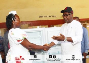 Remise de frigos à gaz aux vétérinaires privés de la Guinée Forestière : Un pas de plus vers la modernisation de la santé animale