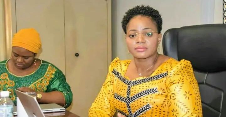 Secteur de la santé : Revue des projets s&rsquo;inscrivant dans la lutte contre les pandémies en Guinée